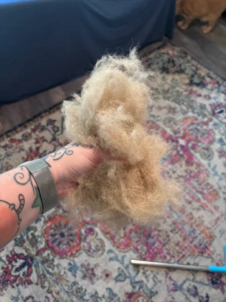 Foto real de una reseña de clientes de NALA