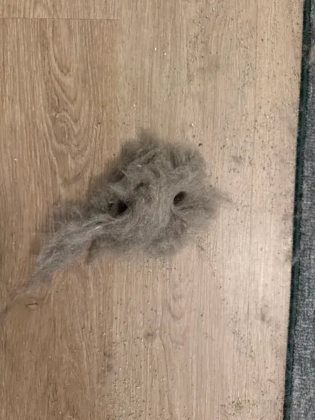 Foto real de una reseña de clientes de NALA